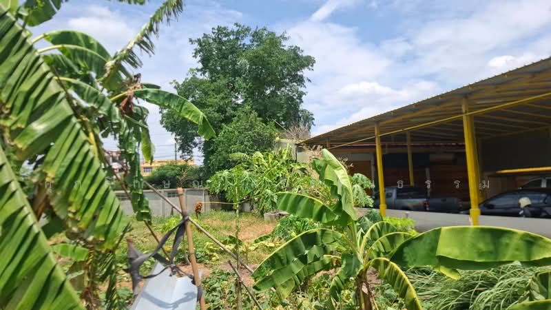 ที่ดินทำเลธุรกิจจังหวัดปทุมธานี, ปทุมธานี, บางปรอก, เมืองปทุมธานี, ปทุมธานี, 548 ตร.ม., ที่ดิน ขาย, โดย ศุภลักษณ์ ศรีรัตนธรรม, 500456951 - DDproperty.com