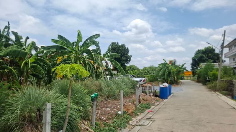 ที่ดินทำเลธุรกิจจังหวัดปทุมธานี, ปทุมธานี, บางปรอก, เมืองปทุมธานี, ปทุมธานี, 548 ตร.ม., ที่ดิน ขาย, โดย ศุภลักษณ์ ศรีรัตนธรรม, 500456951 - DDproperty.com