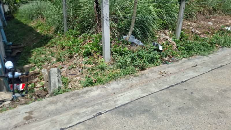 ที่ดินทำเลธุรกิจจังหวัดปทุมธานี, ปทุมธานี, บางปรอก, เมืองปทุมธานี, ปทุมธานี, 548 ตร.ม., ที่ดิน ขาย, โดย ศุภลักษณ์ ศรีรัตนธรรม, 500456951 - DDproperty.com