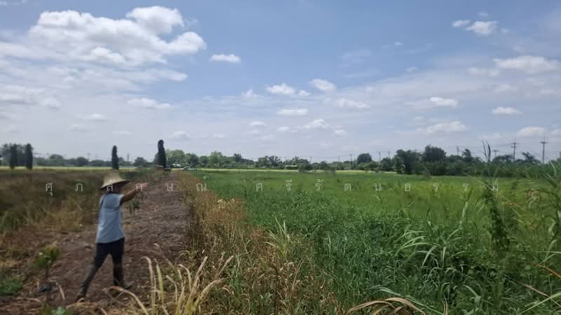 ขายที่ดินติดองค์การบริหารส่วนตำบลบางหลวง, Pathum Thani, Bang Luang, Muang Pathum Thani, Pathum Thani, , 4,524 sqm, Land For Sale, by ศุภลักษณ์ ศรีรัตนธรรม, 500457176 - DDproperty.com