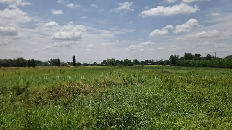 ขายที่ดินติดองค์การบริหารส่วนตำบลบางหลวง, Pathum Thani, Bang Luang, Muang Pathum Thani, Pathum Thani, , 4,524 sqm, Land For Sale, by ศุภลักษณ์ ศรีรัตนธรรม, 500457176 - DDproperty.com