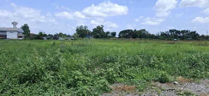ขายที่ดินติดองค์การบริหารส่วนตำบลบางหลวง, Pathum Thani, Bang Luang, Muang Pathum Thani, Pathum Thani, , 4,524 sqm, Land For Sale, by ศุภลักษณ์ ศรีรัตนธรรม, 500457176 - DDproperty.com
