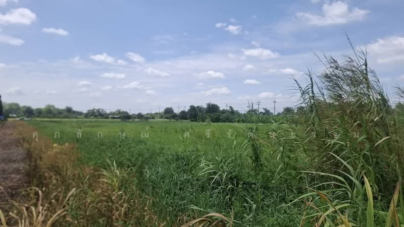 ขายที่ดินติดองค์การบริหารส่วนตำบลบางหลวง, Pathum Thani, Bang Luang, Muang Pathum Thani, Pathum Thani, , 4,524 sqm, Land For Sale, by ศุภลักษณ์ ศรีรัตนธรรม, 500457176 - DDproperty.com