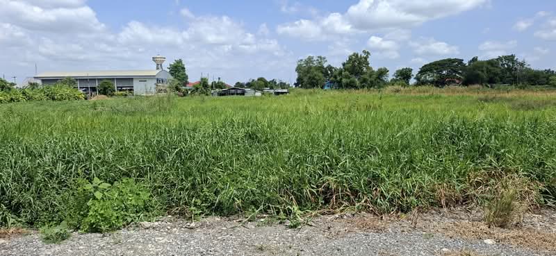 ขายที่ดินติดองค์การบริหารส่วนตำบลบางหลวง, Pathum Thani, Bang Luang, Muang Pathum Thani, Pathum Thani, , 4,524 sqm, Land For Sale, by ศุภลักษณ์ ศรีรัตนธรรม, 500457176 - DDproperty.com