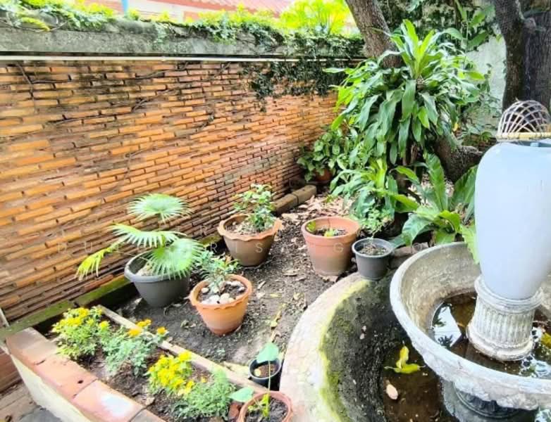 บ้าน 3-ห้องนอน, กรุงเทพ, จอมพล, จตุจักร, กรุงเทพ, 263 ตร.ม., บ้านเดี่ยว ขาย, โดย Trinnaya Dungsirisangthong, 500457259 - DDproperty.com