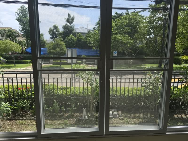มัณฑนา ทวีวัฒนา59, Nakhon Pathom, Salaya, Phuttha Mon Thon, Nakhon Pathom, 4 Bedrooms, 220 sqm, Single Detached House For Rent, by พัทธนันท์ เชาวลิต, 500457313 - DDproperty.com
