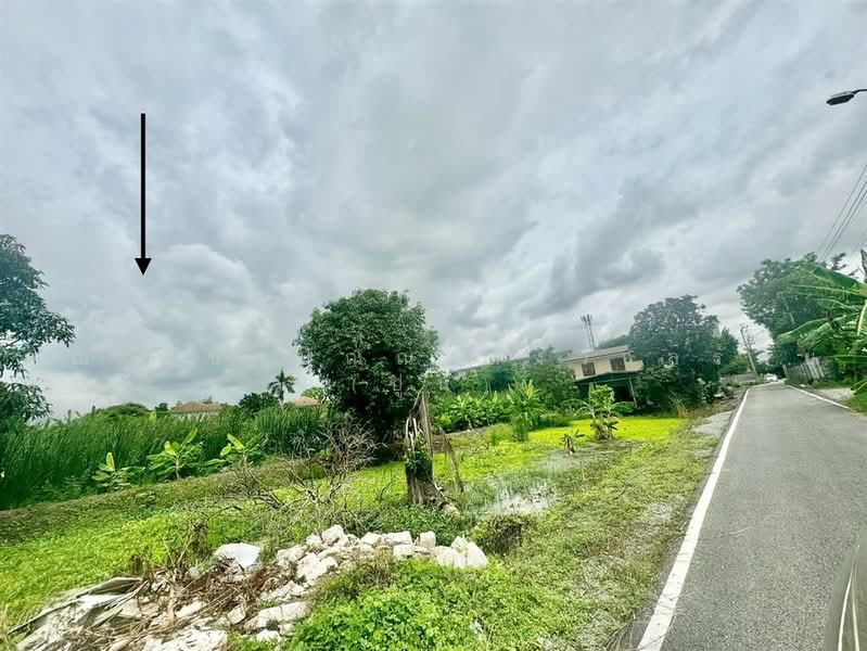 ที่ดินเปล่า 200 ตร.ว. ที่ดิน ติดเอื้ออาทรนนทบุรี ซอยกันตนา, Nonthaburi, ถนนกาญจนาภิเษก, Bang Yai, Nonthaburi, , 800 sqm, Land For Sale, by คุณ ฐิชาปัณณ์ สังวาลรัมย์ (ปูน), 500457412 - DDproperty.com