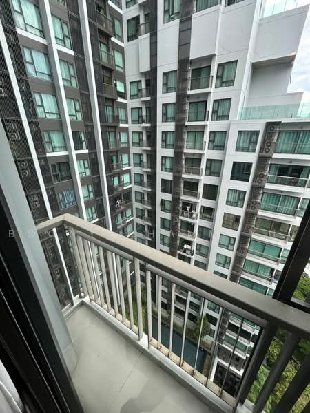 Rhythm Sukhumvit 36-38, Bangkok, 55 Soi Sukhumvit 36, Sukhumvit Road, Phra Kanong, Khlong Toei, Bangkok, 1 Bedroom, 34 sqm, Condo For Rent, by Kitnipat Boonyadhammakul, 500457772 - DDproperty.com