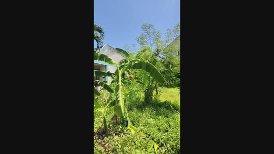 46 square wah plot of land in Samet, Mueang Chonburi, near Wat Taopoon, Chon Buri (Pattaya), Samed, Muang Chon Buri, Chon Buri (Pattaya), , 184 sqm, Land For Sale, by Khommaphat Phumbandit, 500457992 - DDproperty.com