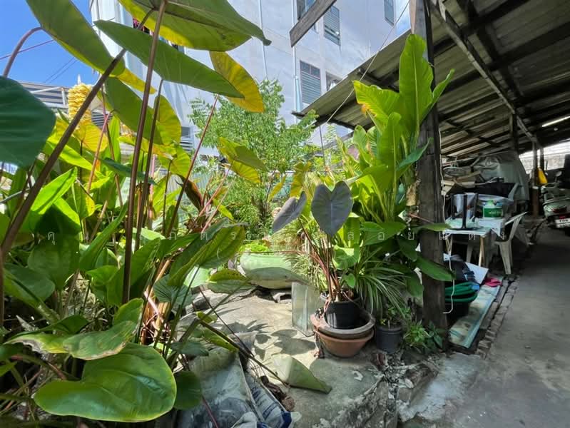 บ้าน + ห้องเช่า 2 ชั้น 59 ตร.ว. ซอยลาดพร้าว132 ถนนลาดพร้าว, Bangkok, ถนนลาดพร้าว, Khlong Chan, Bang Kapi, Bangkok, 5 Bedrooms, 180 sqm, Single Detached House For Sale, by คุณ สุภัตรา พลอยแดง (แพร), 500458127 - DDproperty.com