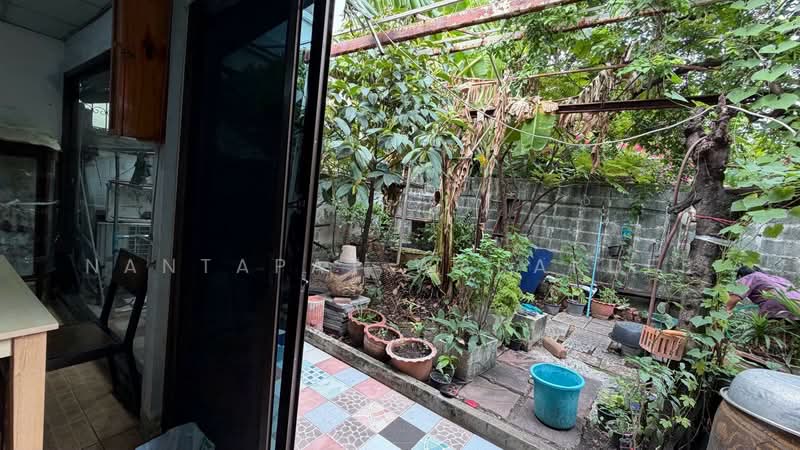 ที่ดิน พิบูลสงคราม22, นนทบุรี, บางเขน, เมืองนนทบุรี, นนทบุรี, 356 ตร.ม., ที่ดิน ขาย, โดย Nantapat Warakdee, 500458132 - DDproperty.com