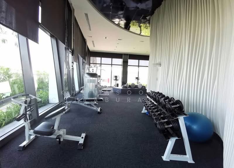 Rhythm Sukhumvit 44/1, Bangkok, Sukhumvit Road, Phra Kanong, Khlong Toei, Bangkok, 1 Bedroom, 35 sqm, Condo For Rent, by Khemasooch Chiraburanan, 500458187 - DDproperty.com