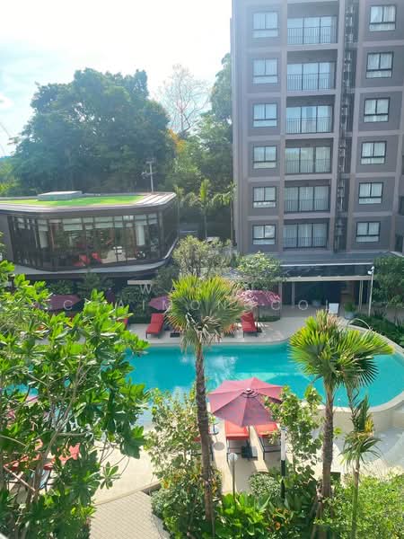 THE Base Cherngtalay, Phuket, Choeng Thale, Thalang, Phuket, 1 Bedroom, 34 sqm, Condo For Sale, by Wasan Chaimongcol, 500458246 - DDproperty.com