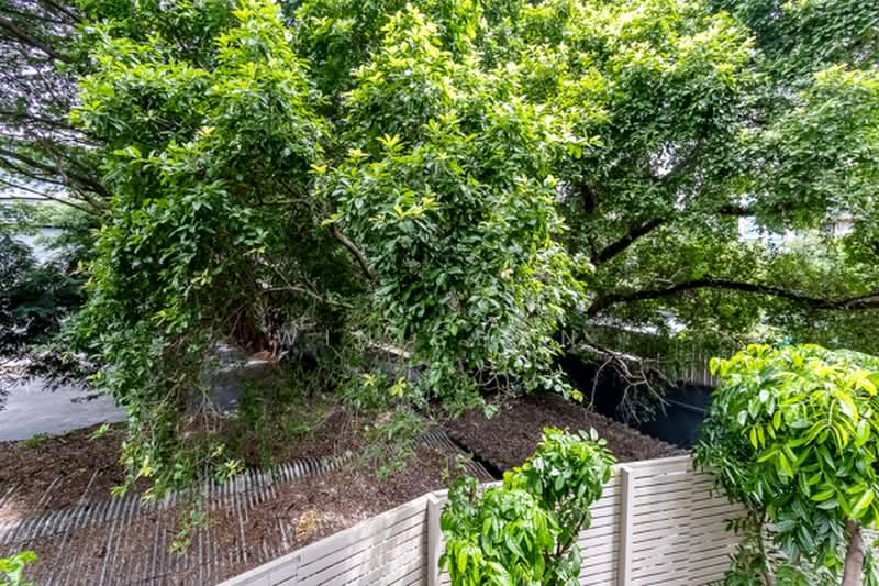 The Privacy S101, Bangkok, Soi Punna Withi 16 Sukhumvit Road, Bang Chak, Phra Khanong, Bangkok, 1 Bedroom, 28 sqm, Condo For Rent, by Win Chan, 500458293 - DDproperty.com