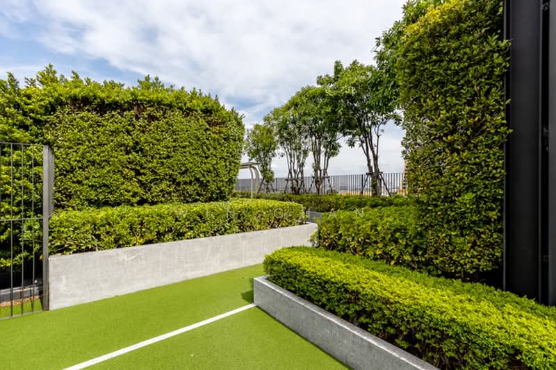 The Privacy S101, Bangkok, Soi Punna Withi 16 Sukhumvit Road, Bang Chak, Phra Khanong, Bangkok, 1 Bedroom, 28 sqm, Condo For Rent, by Win Chan, 500458293 - DDproperty.com