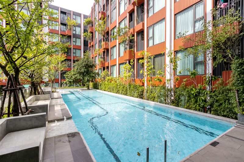 The Privacy S101, Bangkok, Soi Punna Withi 16 Sukhumvit Road, Bang Chak, Phra Khanong, Bangkok, 1 Bedroom, 28 sqm, Condo For Rent, by Win Chan, 500458293 - DDproperty.com