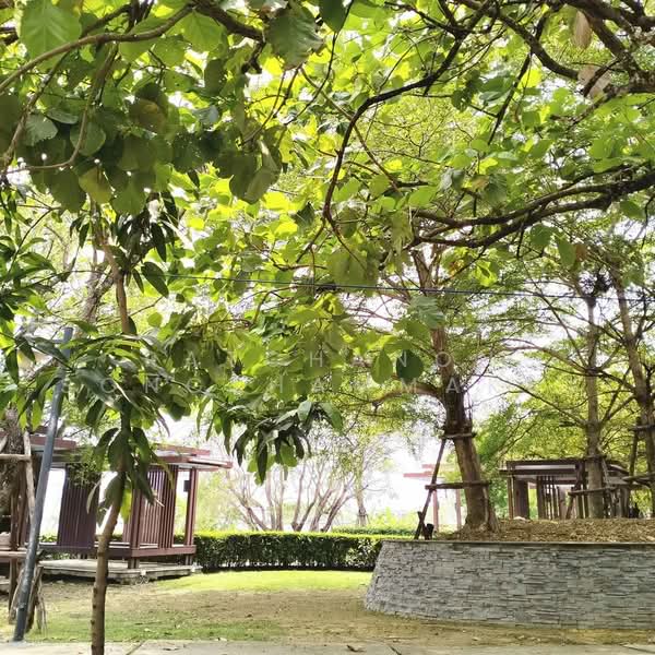 Lake View Park Bangna : เลควิว พาร์ค บางนา, กรุงเทพ, 454 ถนนกาญจนาภิเษก, ดอกไม้, ประเวศ, กรุงเทพ, 200 ตร.ม., บ้านเดี่ยว ขาย, โดย Ratchanon Songthammakul, 500458540 - DDproperty.com