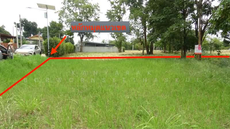 ตำบลหมูสี อำเภอปากช่อง จังหวัดนครราชสีมา, นครราชสีมา, ถนนหมายเลข 3052, หมูสี, ปากช่อง, นครราชสีมา, 2,400 ตร.ม., ที่ดิน ขาย, โดย Kanyarak Borwornsetthaskul, 500458657 - DDproperty.com