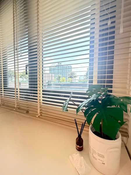 XT Huaikhwang, Bangkok, 244 Ratchadaphisek Road, Huai Khwang, Bangkok, 1 Bedroom, 35 sqm, Condo For Rent, by Vinai Wattana, 500458756 - DDproperty.com