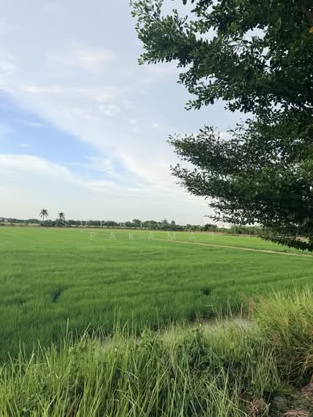 Land For Sell - Bangbuathong 75-400 Sq. Wha, Nonthaburi, Bang Khu Rat, Bang Bua Thong, Nonthaburi, , 1,000 sqm, Land For Sale, by Supatchara Pakamas, 500459173 - DDproperty.com