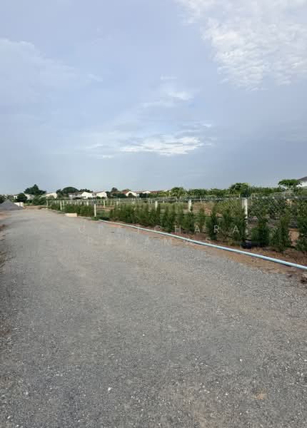 Land For Sell - Bangbuathong 75-400 Sq. Wha, Nonthaburi, Bang Khu Rat, Bang Bua Thong, Nonthaburi, , 1,000 sqm, Land For Sale, by Supatchara Pakamas, 500459173 - DDproperty.com