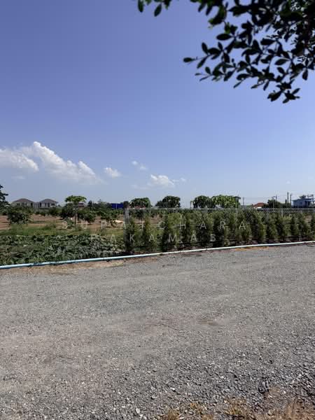 Land For Sell - Bangbuathong 75-400 Sq. Wha, Nonthaburi, Bang Khu Rat, Bang Bua Thong, Nonthaburi, , 1,000 sqm, Land For Sale, by Supatchara Pakamas, 500459173 - DDproperty.com