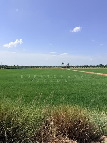 Land For Sell - Bangbuathong 75-400 Sq. Wha, Nonthaburi, Bang Khu Rat, Bang Bua Thong, Nonthaburi, , 1,000 sqm, Land For Sale, by Supatchara Pakamas, 500459173 - DDproperty.com