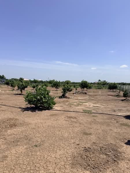 Land For Sell - Bangbuathong 75-400 Sq. Wha, Nonthaburi, Bang Khu Rat, Bang Bua Thong, Nonthaburi, , 1,000 sqm, Land For Sale, by Supatchara Pakamas, 500459173 - DDproperty.com