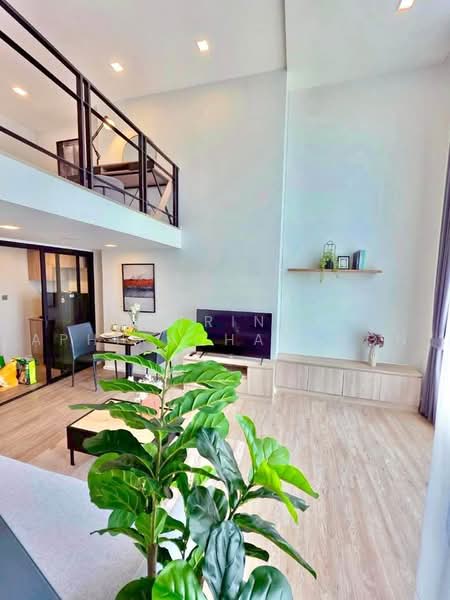 Modiz Sukhumvit 50, Bangkok, Soi Sukhumvit 50, Phra Kanong, Khlong Toei, Bangkok, 1 Bedroom, 42 sqm, Condo For Rent, by Natrinee Aphirachatanon, 500459241 - DDproperty.com