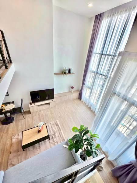 Modiz Sukhumvit 50, Bangkok, Soi Sukhumvit 50, Phra Kanong, Khlong Toei, Bangkok, 1 Bedroom, 42 sqm, Condo For Rent, by Natrinee Aphirachatanon, 500459241 - DDproperty.com