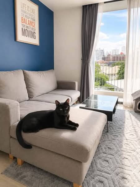 Downtown Forty Nine, Bangkok, Sukhumvit 39 Road, Khlong Tan Nua, Watthana, Bangkok, 1 Bedroom, 44 sqm, Condo For Rent, by Boonraksa Sopak, 500459481 - DDproperty.com