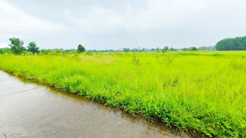 ที่ดินเกาะขวาง จันทบุรี, Chanthaburi, Ko Khwang, Muang Chanthaburi, Chanthaburi, , 6,400 sqm, Land For Sale, by The Best Property โชติ, 500459569 - DDproperty.com