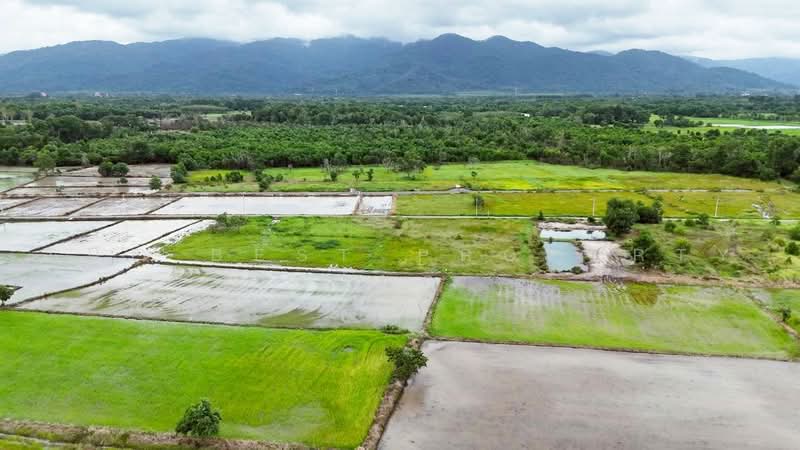 ที่ดินเกาะขวาง จันทบุรี, จันทบุรี, เกาะขวาง, เมืองจันทบุรี, จันทบุรี, 6,400 ตร.ม., ที่ดิน ขาย, โดย The Best Property โชติ, 500459569 - DDproperty.com