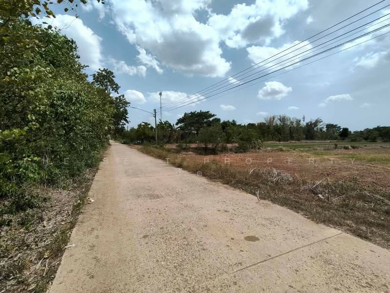 ที่ดินหนองบัว นครสวรรค์, นครสวรรค์, หนองกลับ, หนองบัว, นครสวรรค์, 24,000 ตร.ม., ที่ดิน ขาย, โดย The Best Property ปัต, 500459576 - DDproperty.com