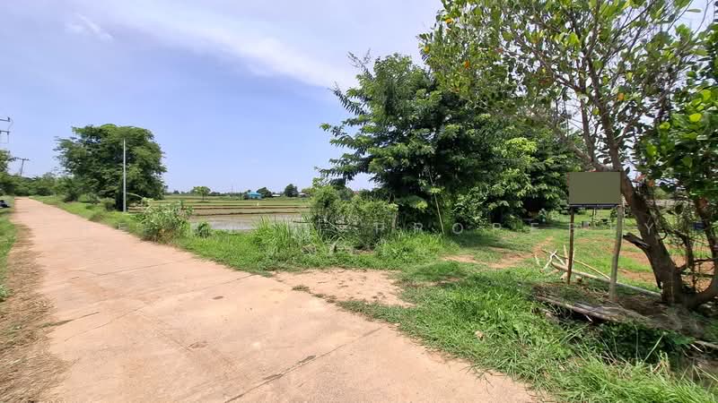 ที่ดินจังหาร ร้อยเอ็ด, Roi Et, Sean Chad, Chang Han, Roi Et, , 800 sqm, Land For Sale, by The Best Property ทองใบ, 500459584 - DDproperty.com
