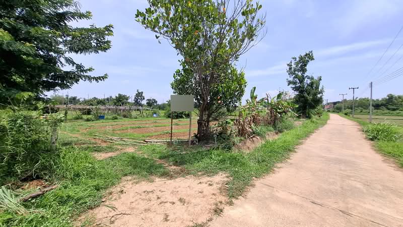 ที่ดินจังหาร ร้อยเอ็ด, Roi Et, Sean Chad, Chang Han, Roi Et, , 800 sqm, Land For Sale, by The Best Property ทองใบ, 500459584 - DDproperty.com