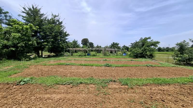 ที่ดินจังหาร ร้อยเอ็ด, Roi Et, Sean Chad, Chang Han, Roi Et, , 800 sqm, Land For Sale, by The Best Property ทองใบ, 500459584 - DDproperty.com