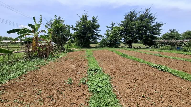 ที่ดินจังหาร ร้อยเอ็ด, Roi Et, Sean Chad, Chang Han, Roi Et, , 800 sqm, Land For Sale, by The Best Property ทองใบ, 500459584 - DDproperty.com