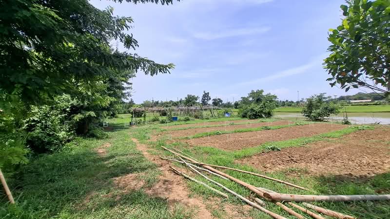 ที่ดินจังหาร ร้อยเอ็ด, Roi Et, Sean Chad, Chang Han, Roi Et, , 800 sqm, Land For Sale, by The Best Property ทองใบ, 500459584 - DDproperty.com
