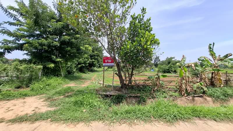ที่ดินจังหาร ร้อยเอ็ด, Roi Et, Sean Chad, Chang Han, Roi Et, , 800 sqm, Land For Sale, by The Best Property ทองใบ, 500459584 - DDproperty.com