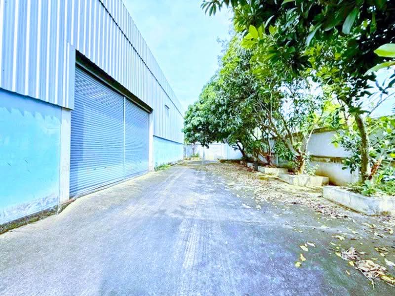 ไม่พบโครงการ, Nakhon Ratchasima, มิตรภาพ บางใหญ่-กาญจนบุรี, Pak Chong, Nakhon Ratchasima, , 450 sqm, Warehouse/Factory For Rent, by ณัฐพงศ์ สุนทรอรุณ, 500459737 - DDproperty.com