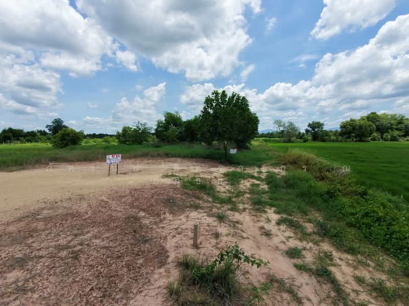 ที่ดิน ถนนสุวรรณศร, Nakhon Nayok, Ko Wai, Pak Phli, Nakhon Nayok, , 916 sqm, Land For Sale, by ภัทรนัน อิศรางกูร ณ อยุธยา, 500459761 - DDproperty.com