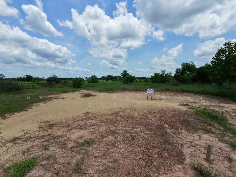 ที่ดิน ถนนสุวรรณศร, Nakhon Nayok, Ko Wai, Pak Phli, Nakhon Nayok, , 916 sqm, Land For Sale, by ภัทรนัน อิศรางกูร ณ อยุธยา, 500459761 - DDproperty.com