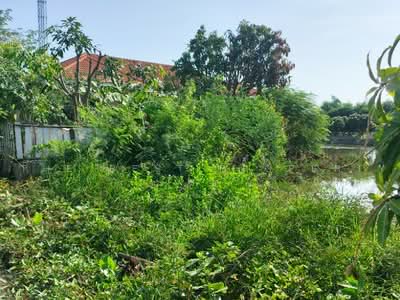 ขาย - ที่ดินบางเสาธง สมุทรปราการ, สมุทรปราการ