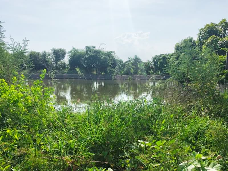 ที่ดินบางเสาธง สมุทรปราการ, Samut Prakan, Bang Sao Thong, Samut Prakan, , 400 sqm, Land For Sale, by The Best Property ชา, 500459790 - DDproperty.com