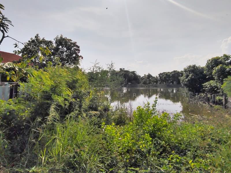 ที่ดินบางเสาธง สมุทรปราการ, Samut Prakan, Bang Sao Thong, Samut Prakan, , 400 sqm, Land For Sale, by The Best Property ชา, 500459790 - DDproperty.com