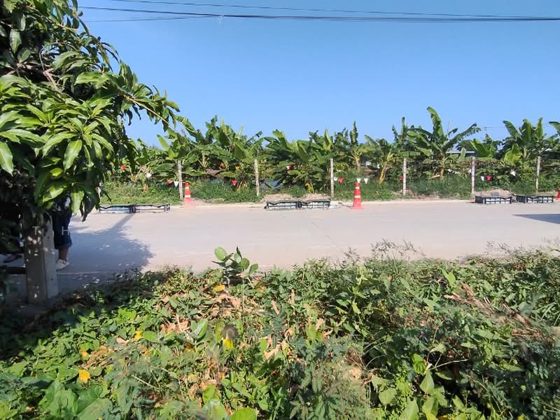 ที่ดินบางเสาธง สมุทรปราการ, สมุทรปราการ, บางเสาธง, สมุทรปราการ, 400 ตร.ม., ที่ดิน ขาย, โดย The Best Property ชา, 500459790 - DDproperty.com