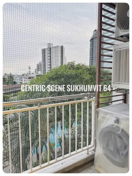 Centric Scene Sukhumvit 64, Bangkok, Soi Sukhumvit 64, Bang Na, Bangkok, 1 Bedroom, 40 sqm, Condo For Rent, by Tanapat Jitwatcharakomol, 500459836 - DDproperty.com