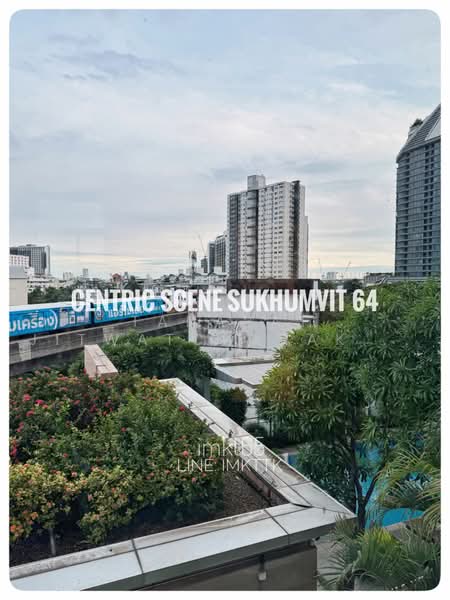 Centric Scene Sukhumvit 64, Bangkok, Soi Sukhumvit 64, Bang Na, Bangkok, 1 Bedroom, 40 sqm, Condo For Rent, by Tanapat Jitwatcharakomol, 500459836 - DDproperty.com
