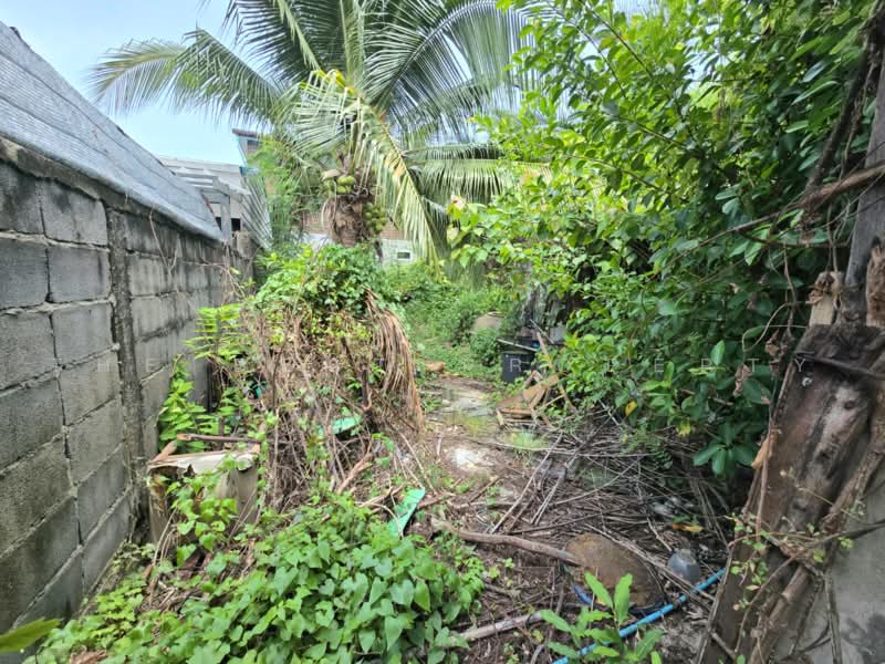 บ้านเดี่ยวพระสมุทรเจดีย์ สมุทรปราการ, Samut Prakan, Nai Khlong Bang Pla Kot, Phra Samut Jadee, Samut Prakan, 3 Bedrooms, 100 sqm, Single Detached House For Sale, by The Best Property นก, 500459849 - DDproperty.com